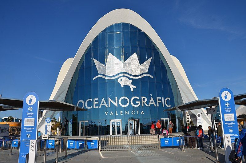 Oceanogràfic Valencia acuarios para visitar en familia