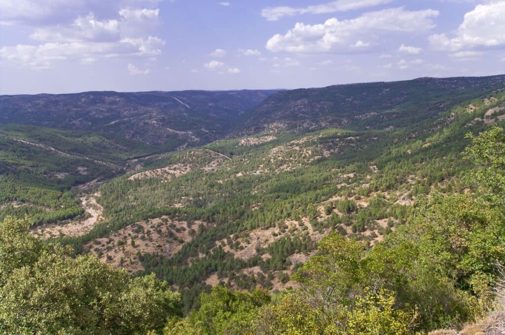 Los Pedroches, Córdoba