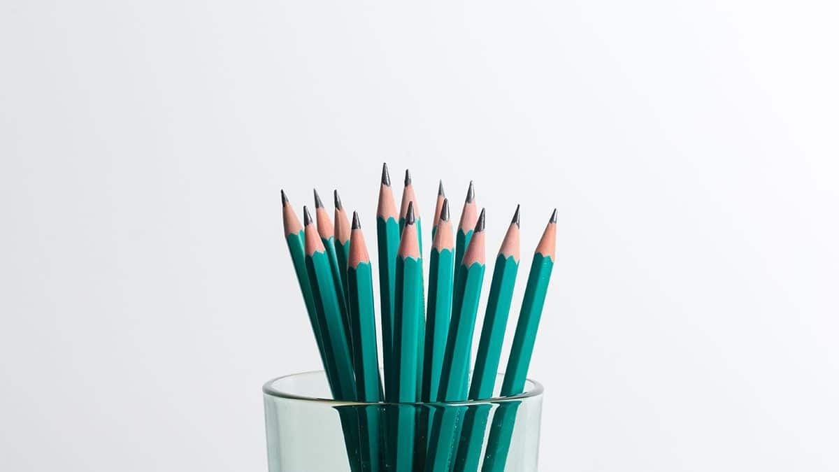 La importancia de la educación especial para adaptarse a las necesidades del alumnado