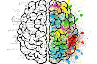 libros neurociencia