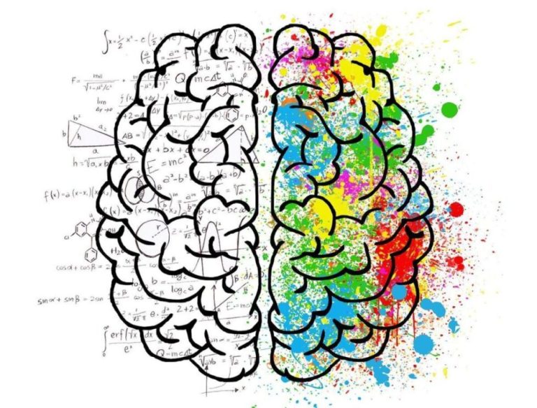libros neurociencia