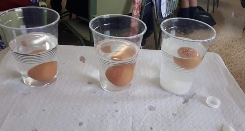 experimento huevos química