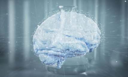 Neurociencia