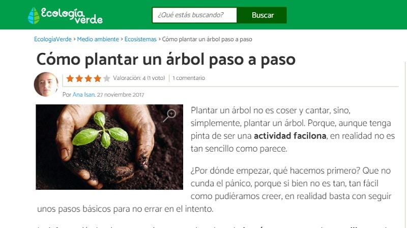 Plantar un árbol