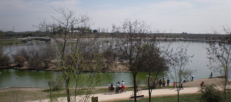 Parque Polvoranca Leganés Actividades Educación Medioambiental