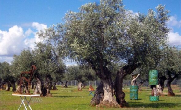 Actividades Medioambientales