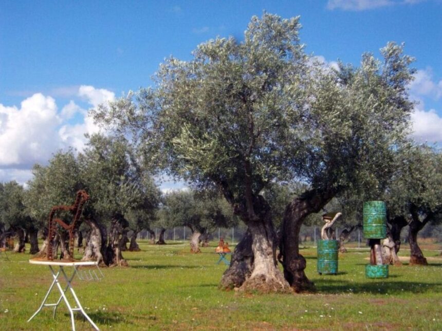 actividades medioambientales