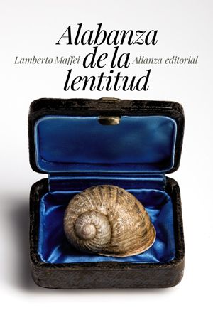 Alabanza De La Lentitud