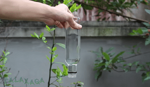 Voltear Una Botella Sin Que Caiga El Agua