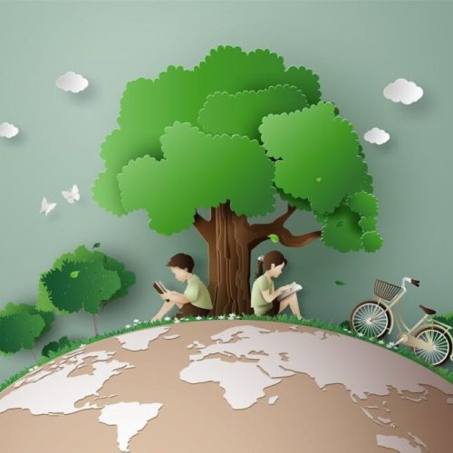 Libros para trabajar el respeto por el medioambiente