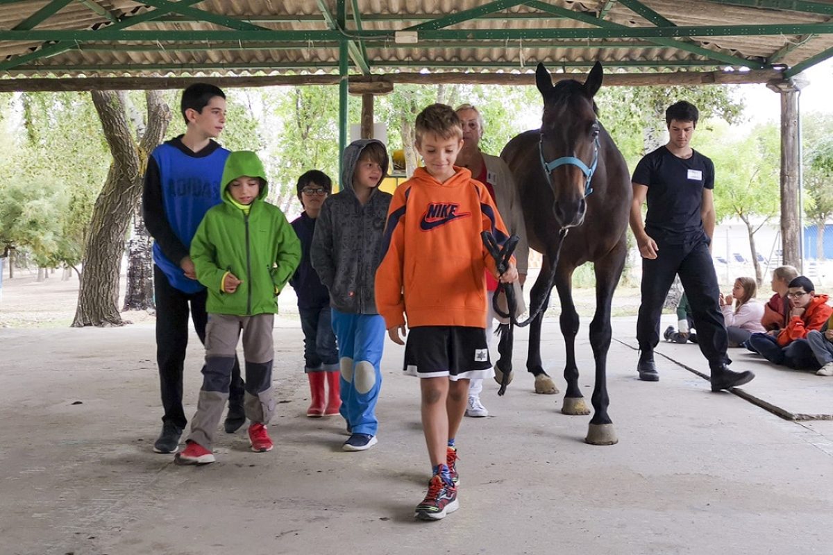 Una granja escuela que apuesta por las competencias emocionales Granja Ability Training Center, educar en las emociones