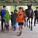 Granja Ability Training Center, educar en las emociones