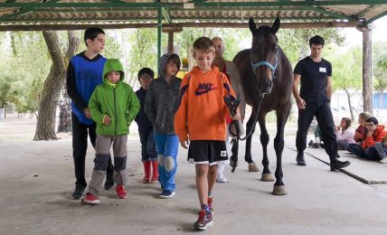 Granja Ability Training Center, educar en las emociones