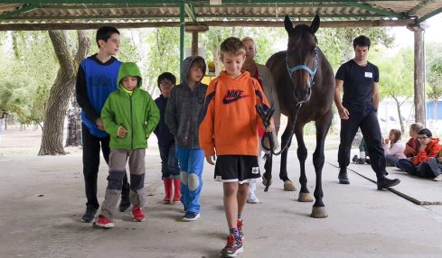 Granja Ability Training Center, educar en las emociones