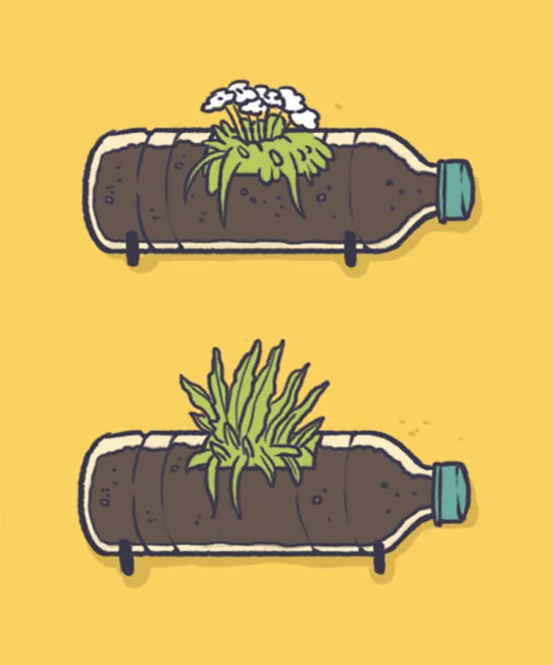 plastic free 800
