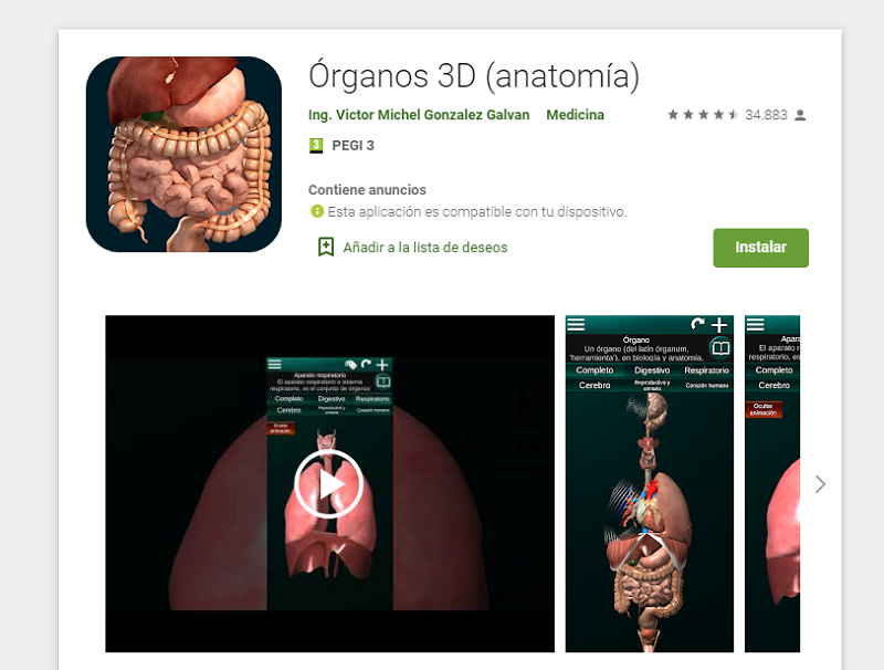 Órganos 3D