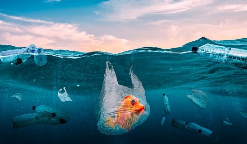 Documentales sobre ecología y cambio climático