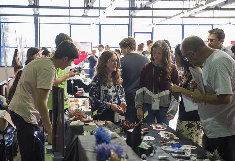 Los Alumnos Exponen Los Resultados De La Formación De Cristales