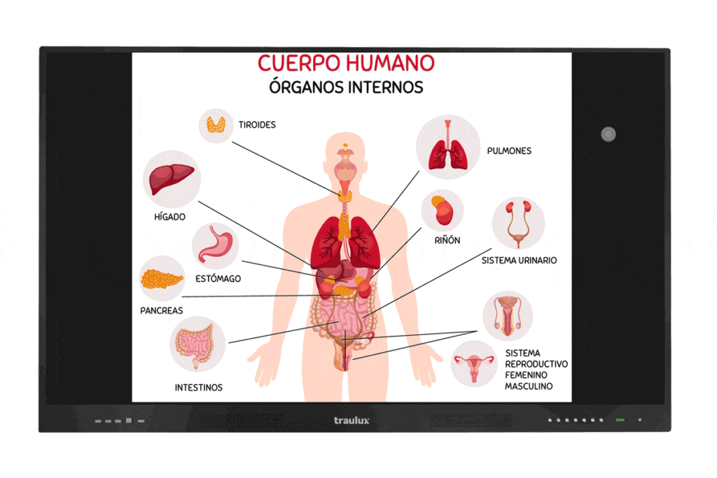 Monitores Interactivos Autónomos