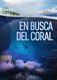 En busca del coral