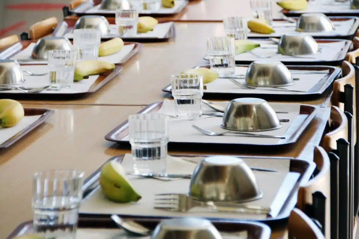 ¿Línea fría, caliente o elaboración propia? Comedores escolares a debate comedores escolares alimentación