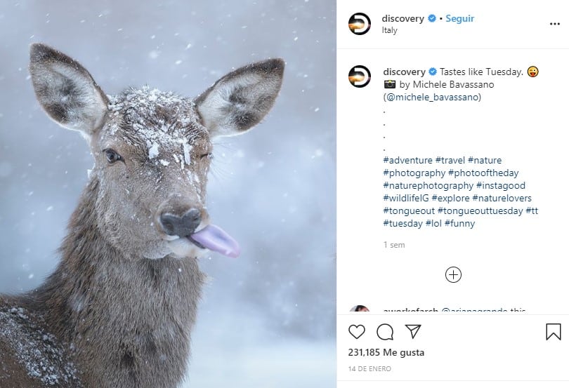 Discovery Instagram