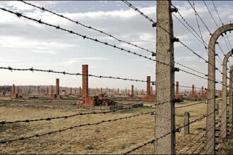 imagen holocausto
