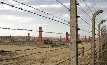 imagen holocausto