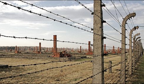 imagen holocausto