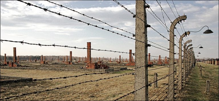 imagen holocausto
