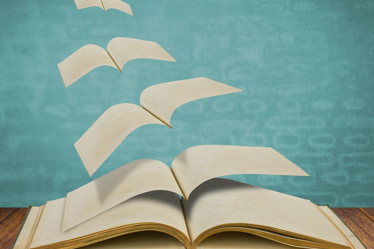 Libros con los que empezar el nuevo año con buena lectura Libros 2020