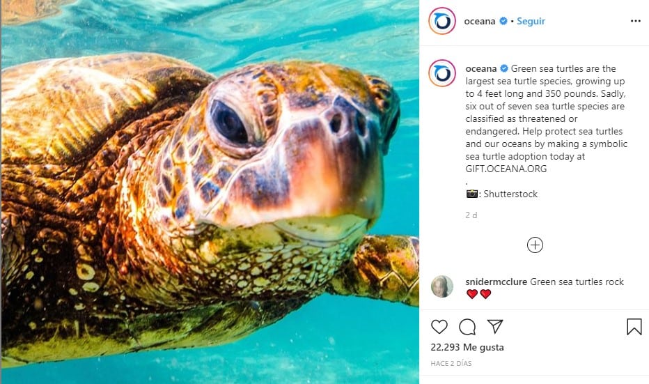 Oceana cuentas de Instagram educativas