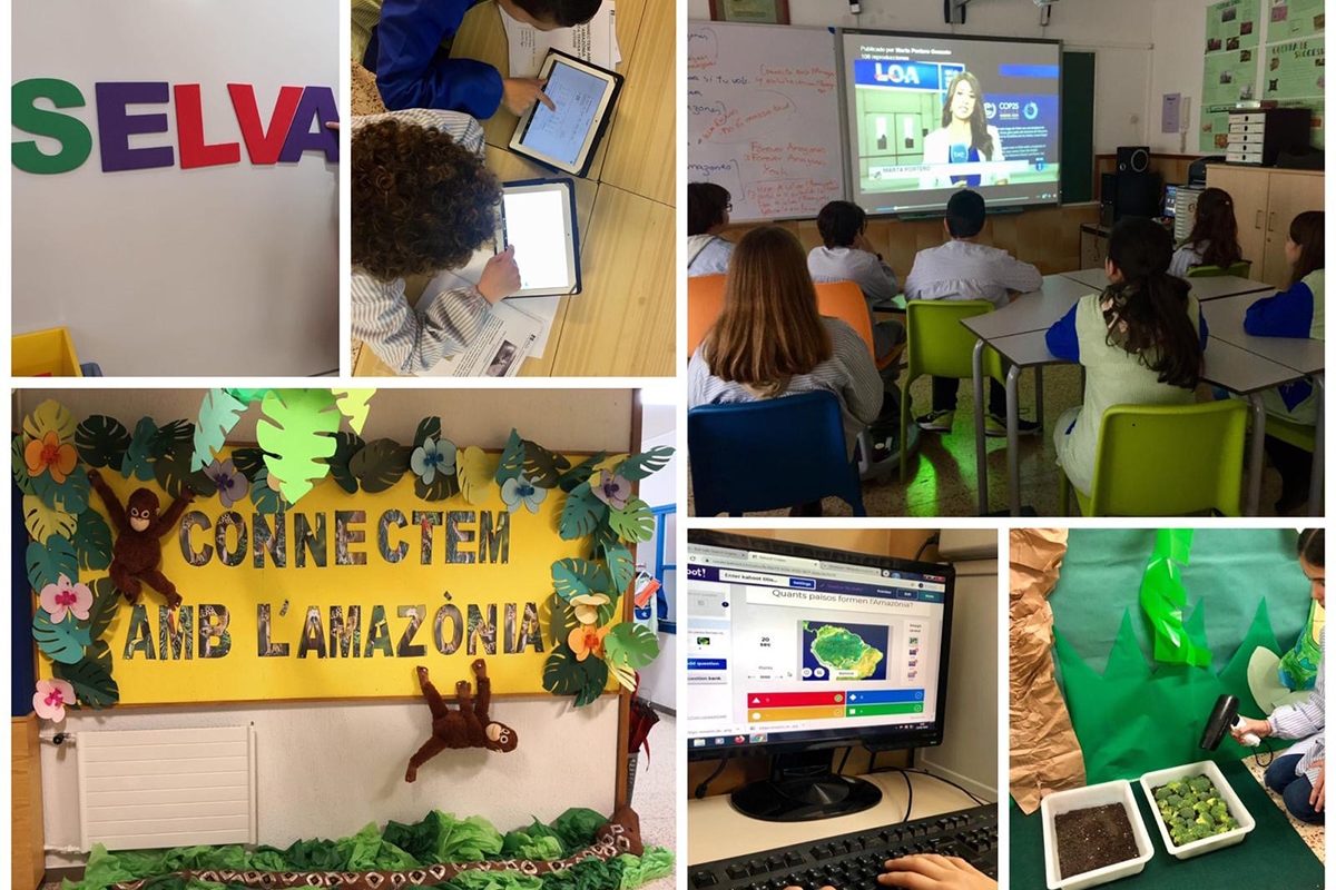 Conectar la escuela con la crisis medioambiental de la Amazonia Amazonia