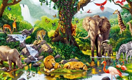 Jungla flora y fauna