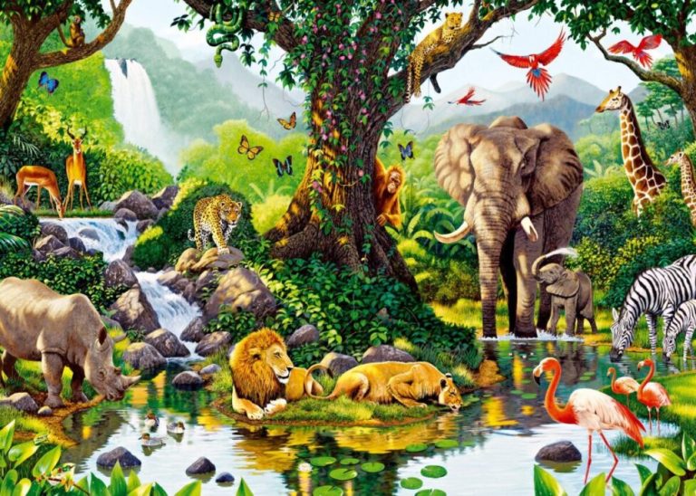 Jungla flora y fauna