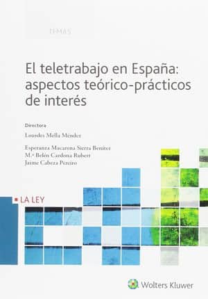 El Teletrabajo En España