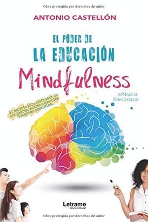 El poder de la educación mindfulness