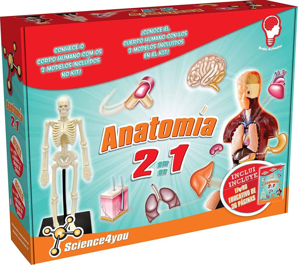 Anatomía 2 en 1 