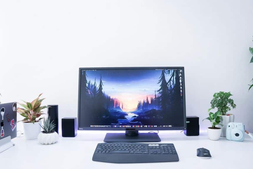 monitores económicos