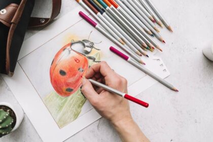 libros colorear adultos