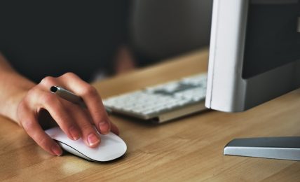 ratones ergonómicos