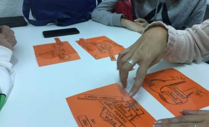 actividades educación sexual