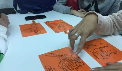 actividades educación sexual