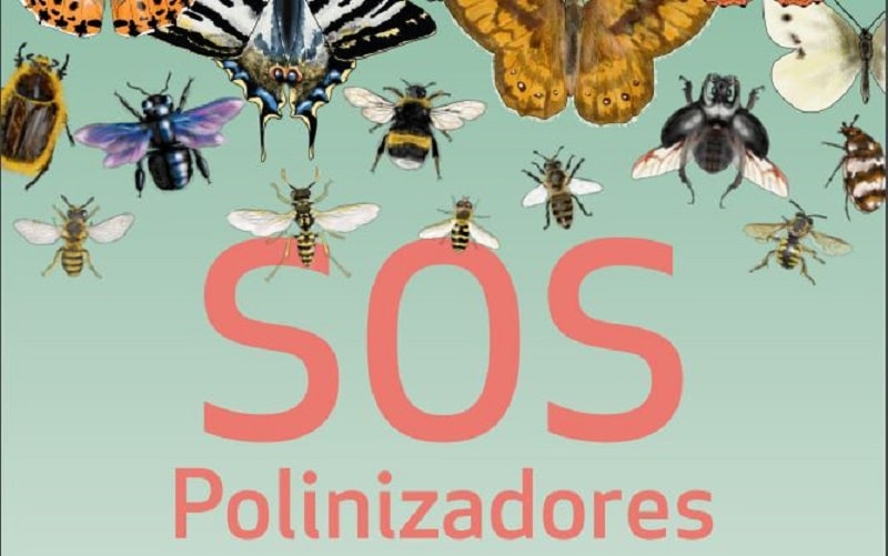 SOS POLINIZADORES