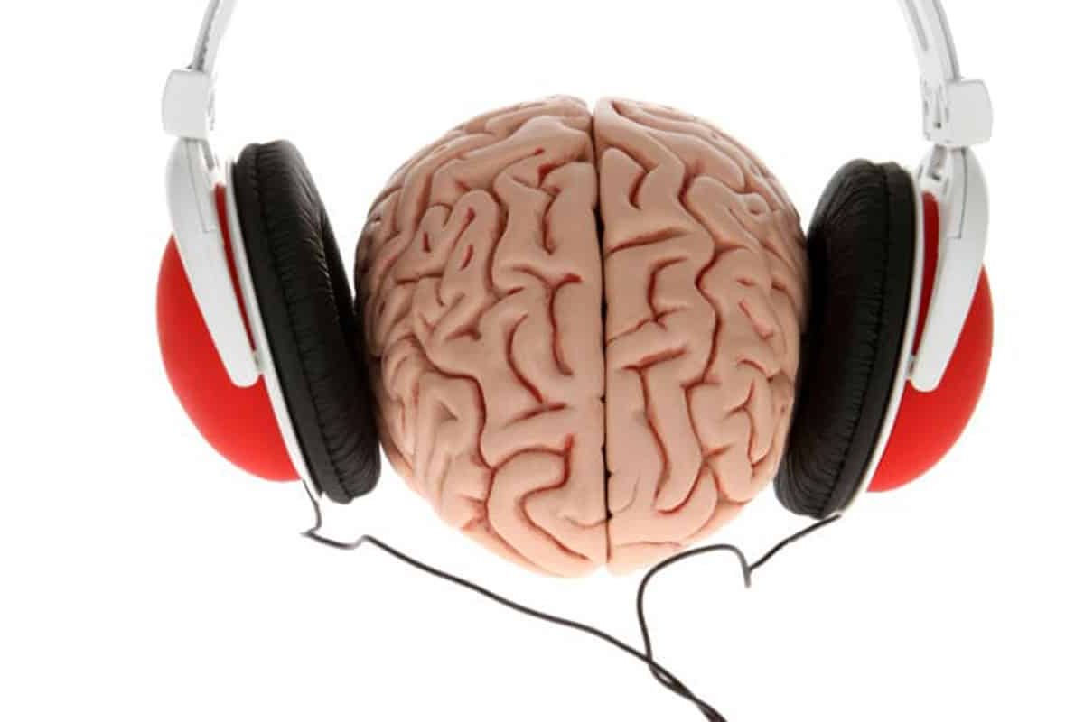 ¡Aprende Biología con estas canciones y vídeos educativos! cerebro