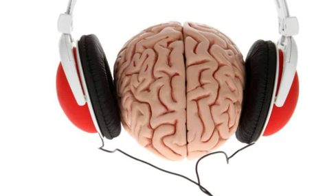cerebro