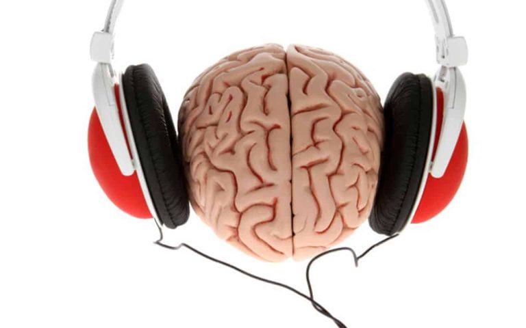 cerebro