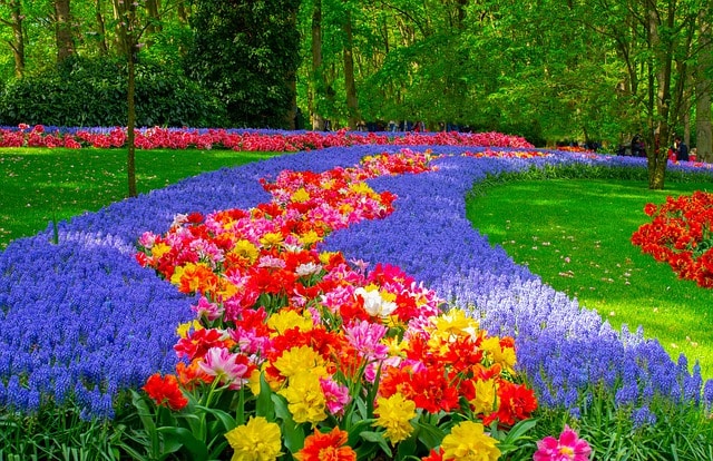 Los Jardines De Keukenhof (Holanda) Jardines Virtuales