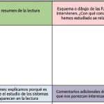 rúbricas de evaluación
