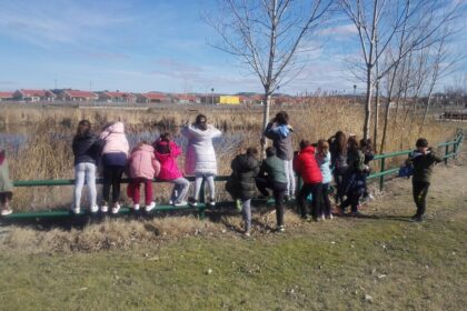 ABP CIENCIAS NATURALES